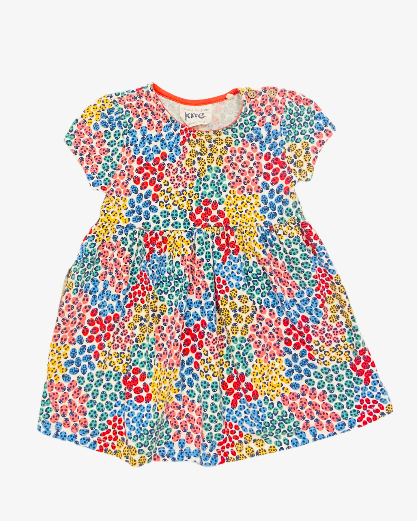 12-18 M Ladybird dress
